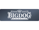 BigDog